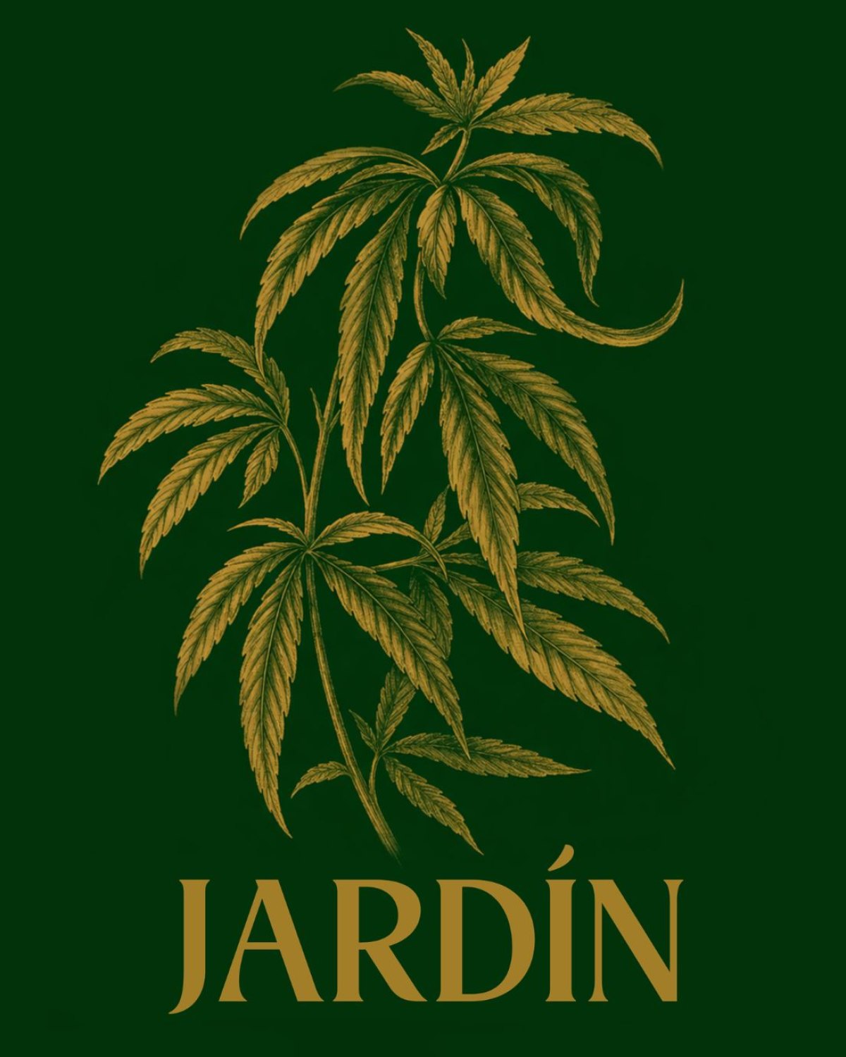 Dollar Selmouni presenta Jardín.